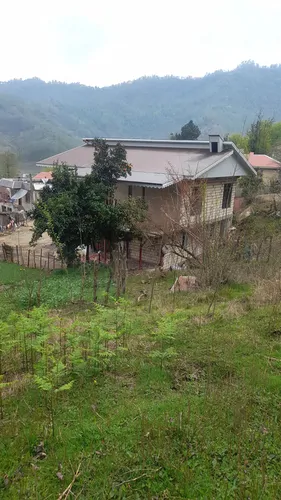 تصویر 17 - ویلا جنگلی هستی در  ماسال