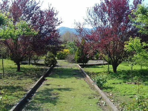 تصویر 12 - ویلا باغ سرسبز  در  لنگرود