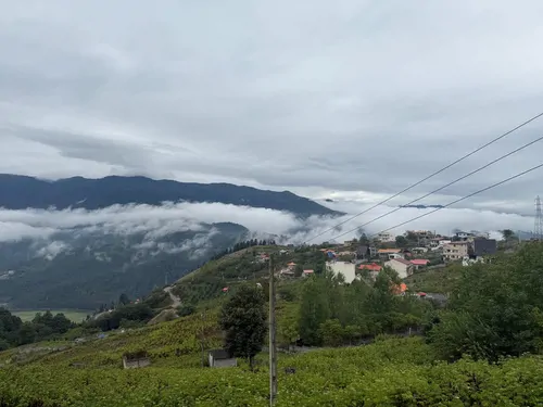 تصویر 16 - کلبه چوبی نیا در  زیراب