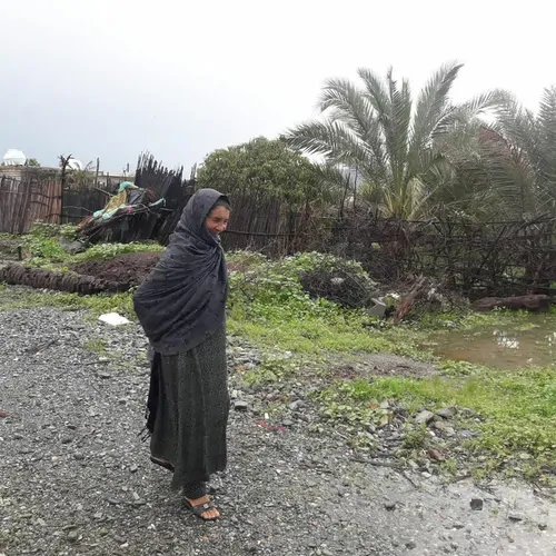 تصویر 3 - خانه خانه پرتقالی در کهنوج