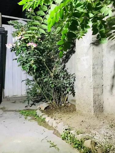 تصویر 9 - خانه آرمین در  بجنورد