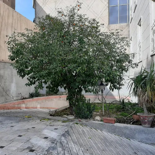 تصویر 9 - آپارتمان مبله (18) در خیابان شریعتی  در  تهران