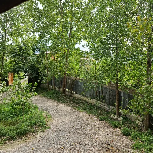 تصویر 18 - کلبه  چوبی احمدی در  شیرگاه