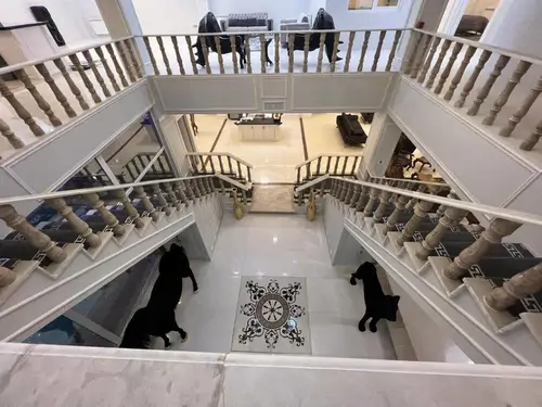 تصویر 18 - ویلا استخردار آبگرم قصر سفید با بیلیارد در  سهیلیه