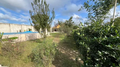 تصویر 29 - ویلا باغ کوشا در  رشت