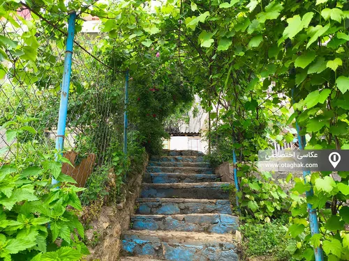 تصویر 18 - ویلا افراتخته در علی آباد کتول