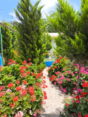 تصویر 10 - سوییت ویلایی پدر (واحد 6) در  رودبار