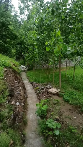 تصویر 11 - ویلا جنگلی مقدم کنار رودخانه در اسالم