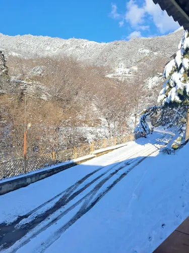 تصویر 13 - سوییت  لهاش جنگل الیمستان  در  آمل