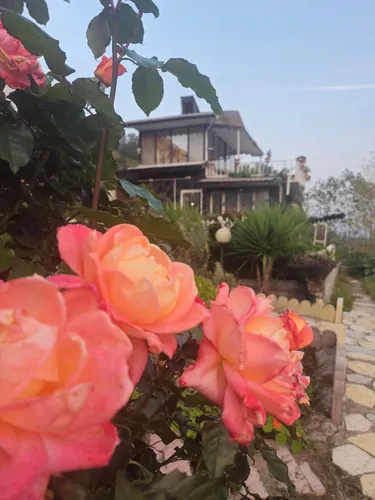 تصویر 28 - ویلا نیلوفر آبی در لنگرود