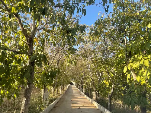 تصویر 2 - ویلا باغ زیبای دشت مشا در دماوند
