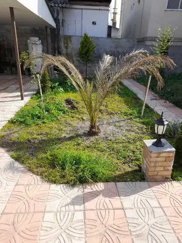 تصویر 5 - ویلا ویلا باغ بهار ۱۱ در  سرخ رود
