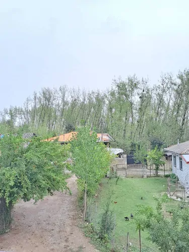 تصویر 3 - کلبه کلبه دنج وآرام  در ماسال