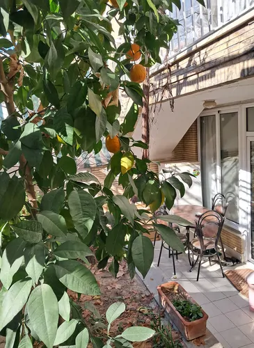 تصویر 12 - آپارتمان مبله نیکنام  در  اصفهان