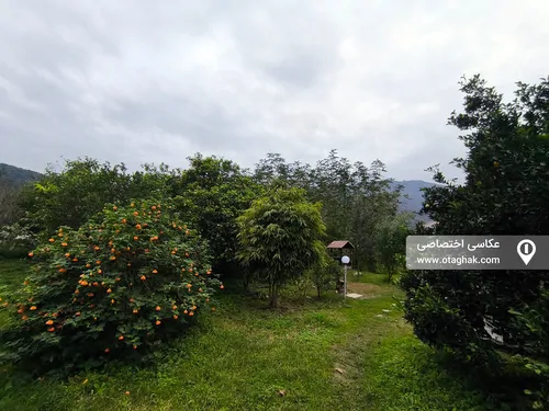 تصویر 24 - ویلا بهشت کوچک در هچیرود