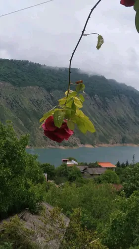 تصویر 2 - ویلا جنگلی فراچال در ساری
