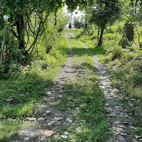 تصویر 2 - ویلا سرای دلپذیر در رشت