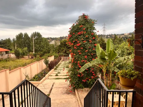 تصویر 2 - ویلا جنگلی مهدشت در ساری