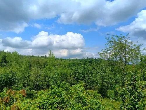 تصویر 19 - کلبه سوئیسی تینار در  بابل