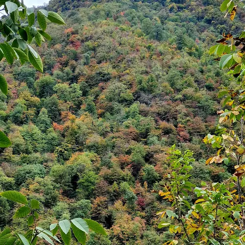 تصویر 22 - ویلا نوئل توسکستان با دیزاین چوب در  گرگان