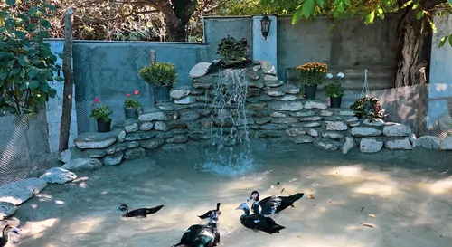 تصویر 7 - ویلا گلستان (۱) با جکوزی  در  بندر گز