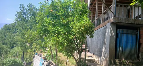 تصویر 18 - کلبه تی تی در سوادکوه