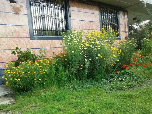 تصویر ۱ - ویلا نیما در  تالش