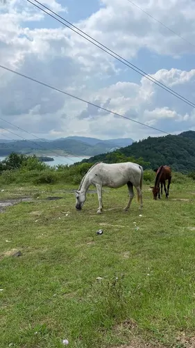 تصویر 22 - ویلا الماس جوارم با جکوزی (2) در  سوادکوه