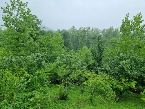 تصویر 16 - کلبه سوئیسی پوریا در  پره‌سر