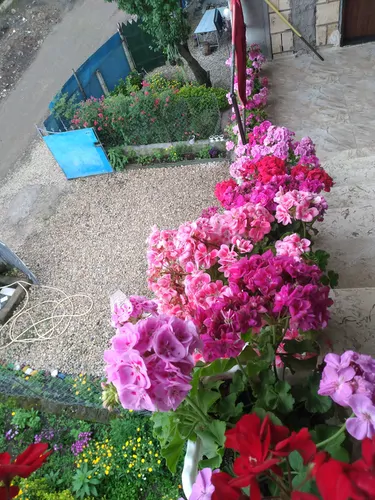 تصویر 18 - ویلا خونه صورتی در  آستارا