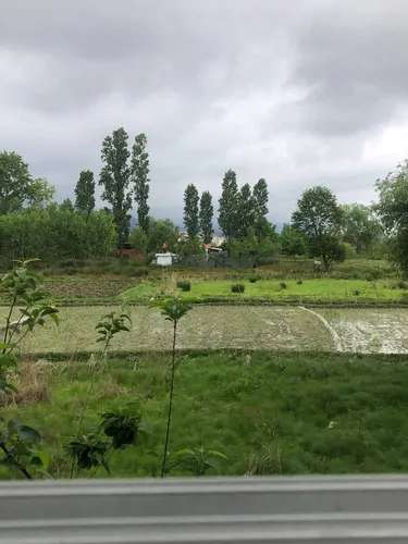 تصویر 12 - خانه ویلایی لاله در  رامسر