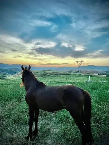 تصویر 2 - اقامتگاه بوم‌گردی اقامتگاه بومگردی مهستان  در ایذه