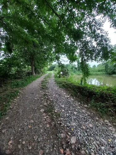 تصویر 16 - کلبه برکه در  رشت