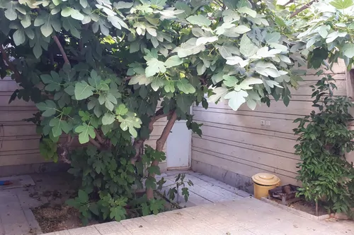 تصویر 3 - ویلا ویلایی ۱۱۰ متری در اصفهان