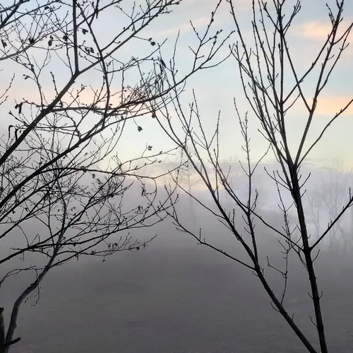 تصویر 20 - ویلا آمارد در  رودبار