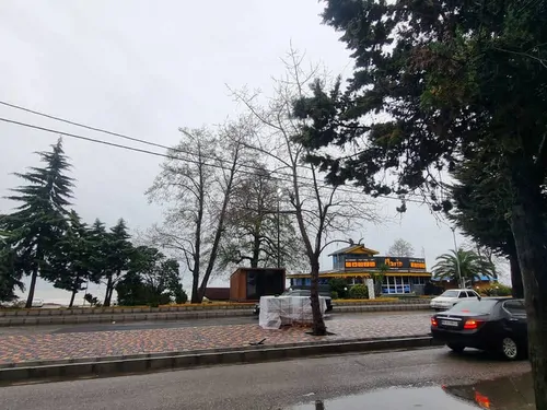 تصویر 14 - ویلا ساحلی نیلو پلاک یک دریا در رامسر