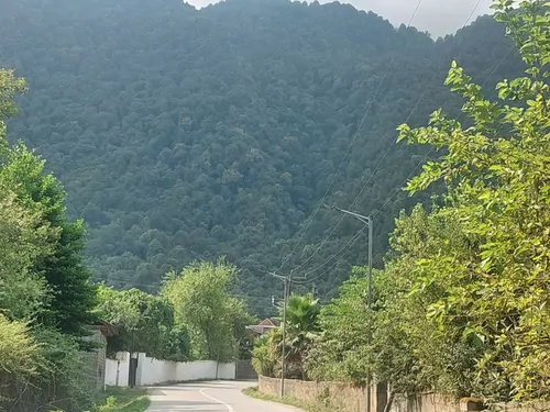 تصویر 3 - ویلا محمد مهدی ۲۰ در نوشهر
