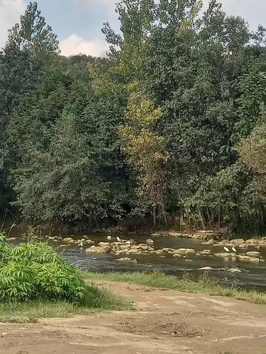 تصویر 13 - خانه روستایی طبیعت در  سوادکوه