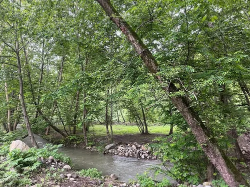 تصویر 5 - ویلا اقا ناصر در ماسال