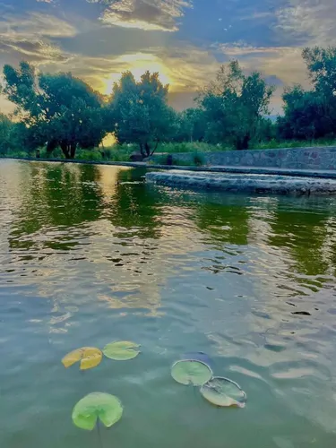 تصویر 18 - ویلا دیزاین چوب نارنج در  رودبار