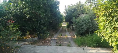 تصویر 5 - ویلا ویلا باغ کم نظیر در  سرخ رود