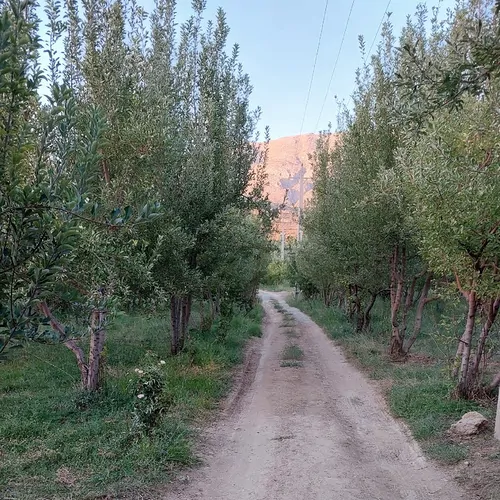تصویر 3 - ویلا اقامتگاه تفریحی در سپیدان