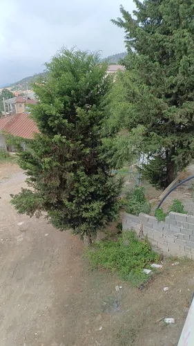 تصویر 14 - ویلا نرسو در  علی آباد کتول