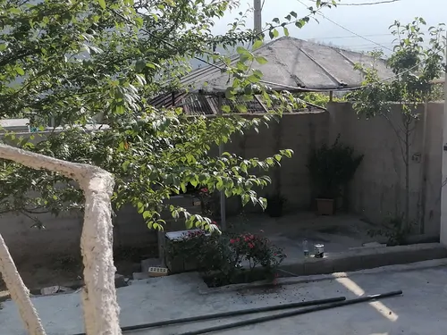 تصویر 2 - سوییت گل سوسن در رامیان