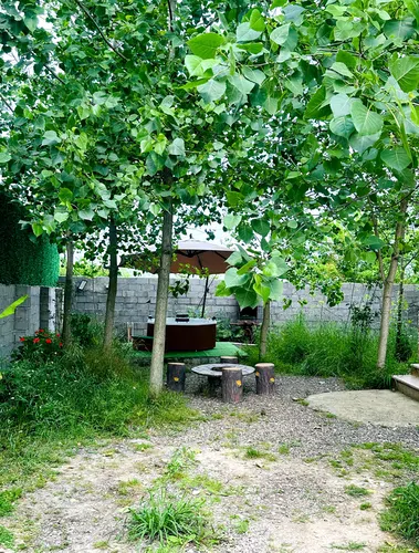 تصویر 31 - کلبه سوئیسی هاریکا با جکوزی در ماسال