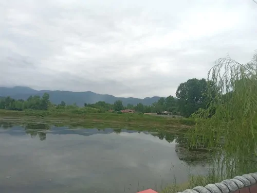 تصویر 25 - ویلا شکوفه بهار در ماسال