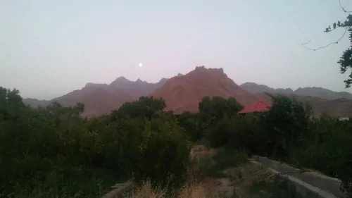 تصویر 3 - کلبه باغ روشنا  در تفت