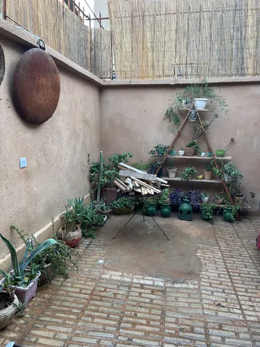 تصویر 8 - خانه پری دخت در شیراز