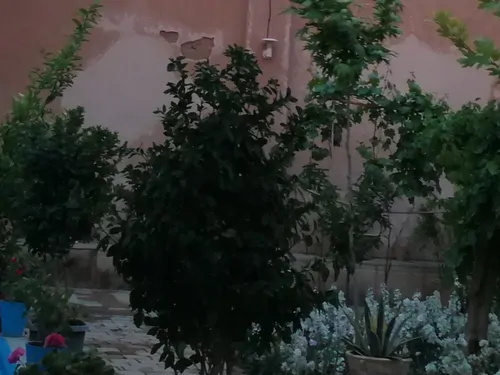 تصویر 2 - خانه خونه قدیمی در اصفهان