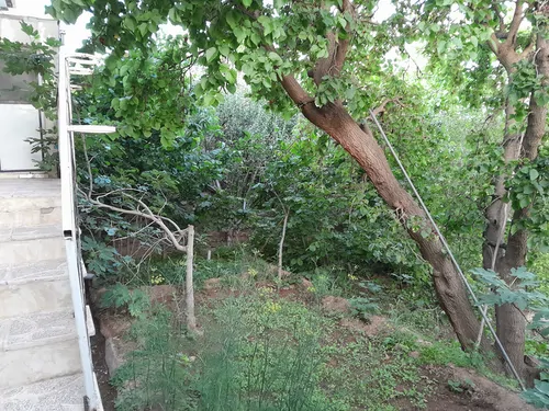 تصویر 28 - ویلا رجبی در  معلم کلایه